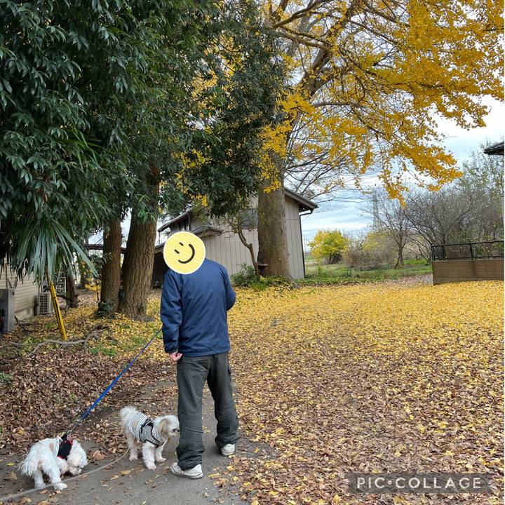 B060bfe7 30ff 4eca 9fdf 7f7a17523618 1670154082040