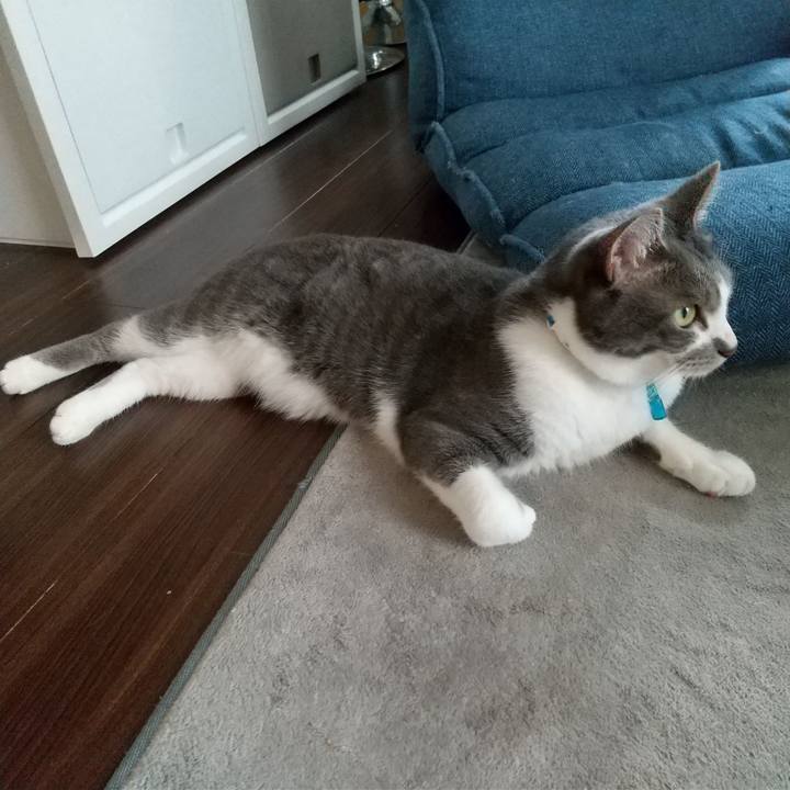 B0613c5c f458 4399 ada4 fad4fbf9b3a5 1624590466129