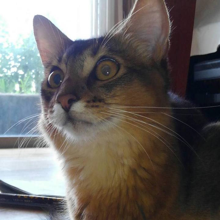 B0613e55 f424 49c5 b879 121a0394d57f 1566514650974