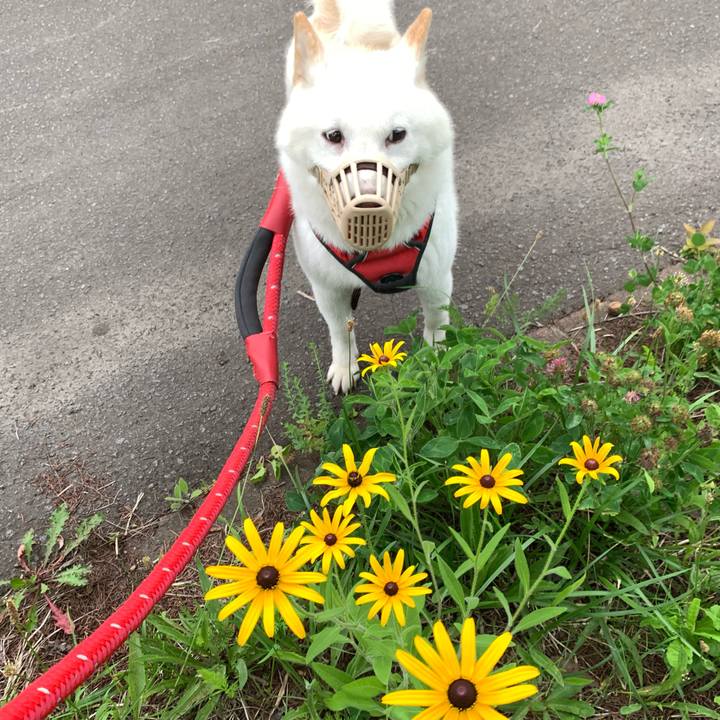 B06148c7 7e20 4068 9172 374c623a8a30 1659040852253