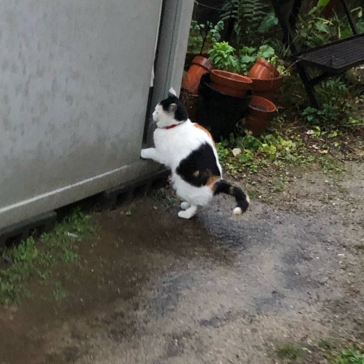 B0614cbc 242f 4aa9 b608 c9f0644831f3 1613342768347