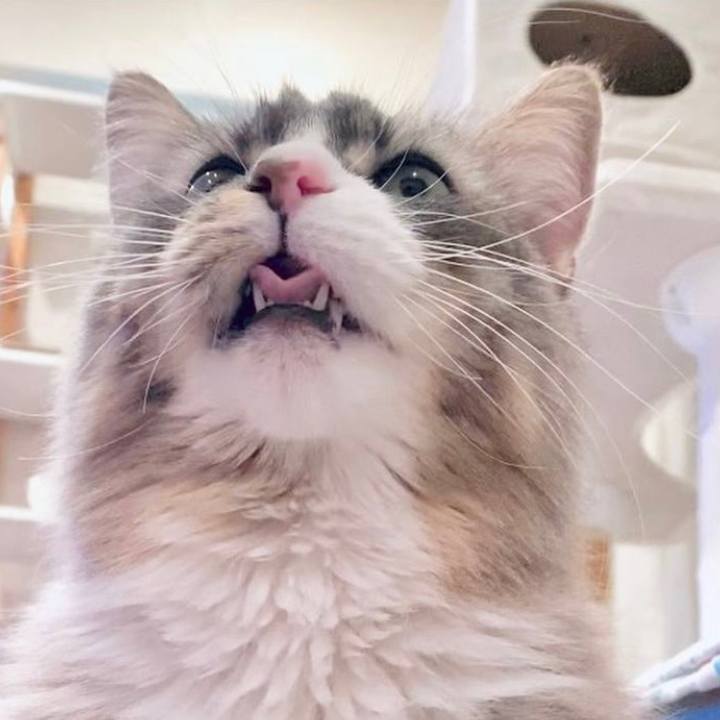 B0615199 61ca 4d5a 959c 08e08630ac3c 1654015591647