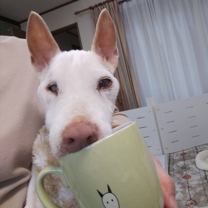 B0617bc6 0ac6 4d39 af29 b741720a9faa 1589931187858