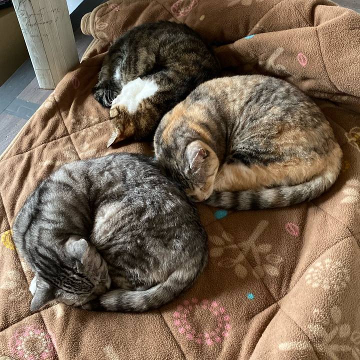 B061b673 9dba 40c6 b39c 5aa9add30f38 1652231933031