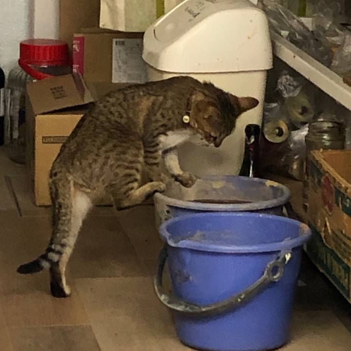 B061b67e 4f24 4cf6 9744 f4af5a6bcd31 1595835028126