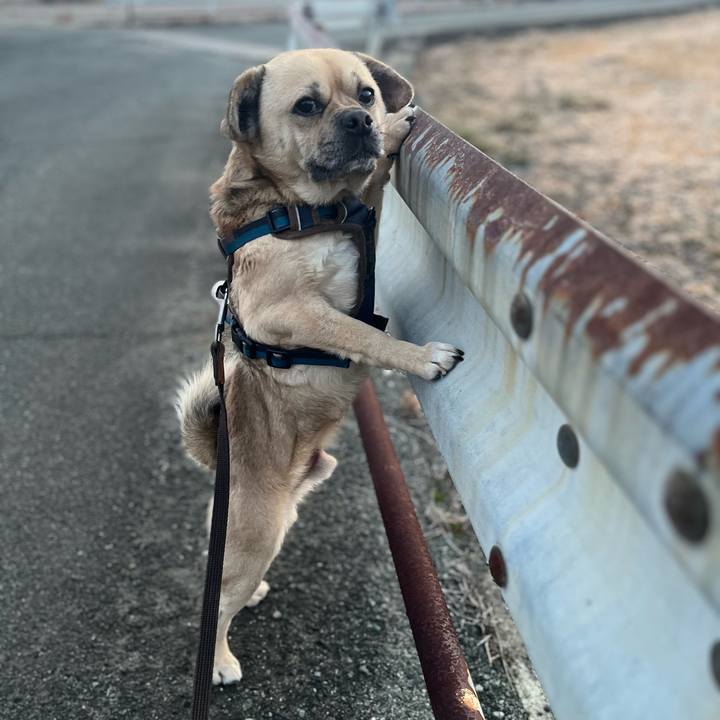 B061b78c 21aa 4124 9e36 d95b93f44e5d 1770911962565