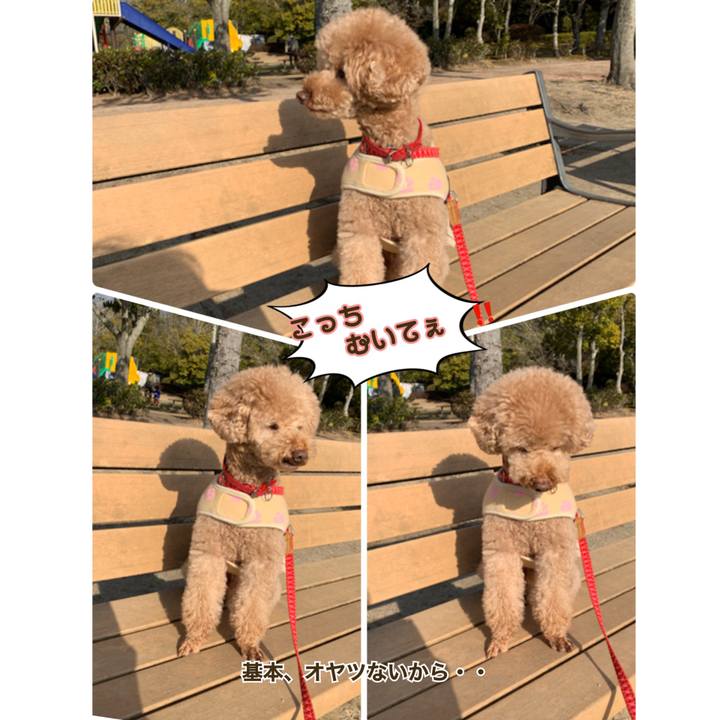 B061fc5d b4bb 4445 9621 bab5dbaecbe1 1550021325080