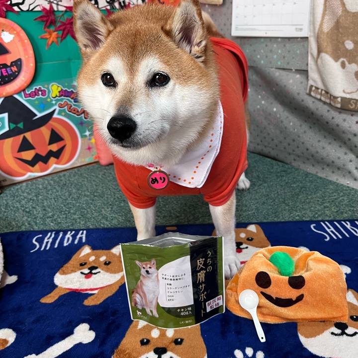 B0622543 652c 40eb ab3f 5a90b4f05f8c 1696994287625