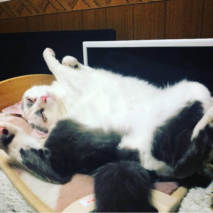 B0622c74 96ec 409e a5c3 b2b9608b1e5b 1558224750902