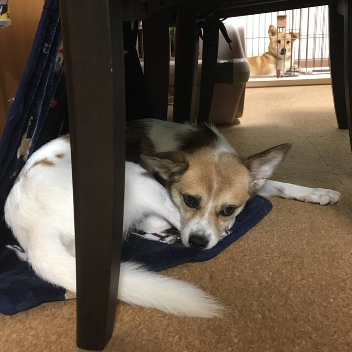 B0622e93 fc0b 4dca 8f4e fc704046f673 1565174113402