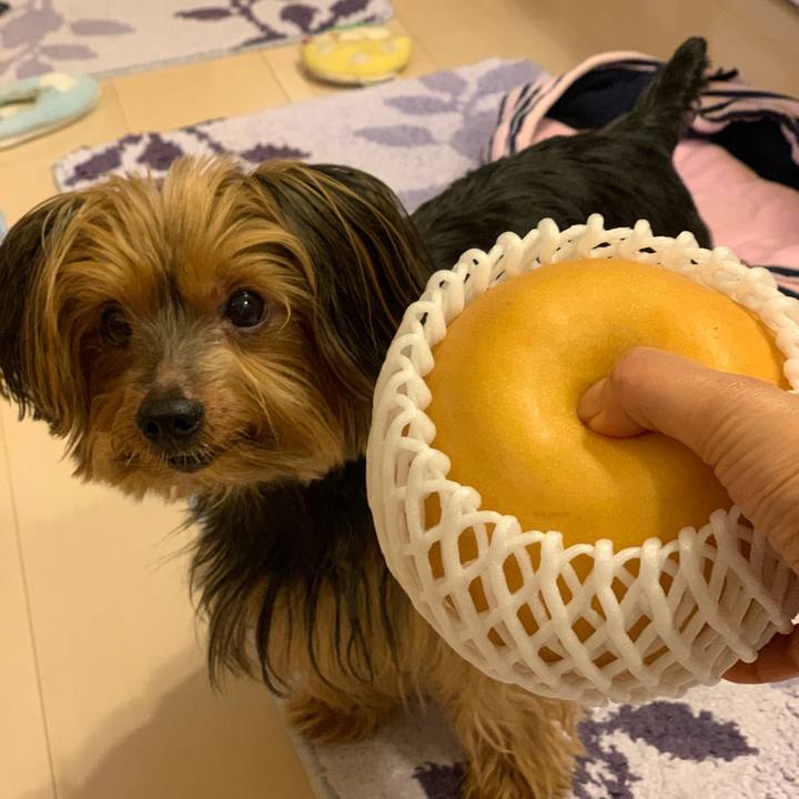 B06240f6 ef8e 4373 ac03 64c5667a503b 1569453473383