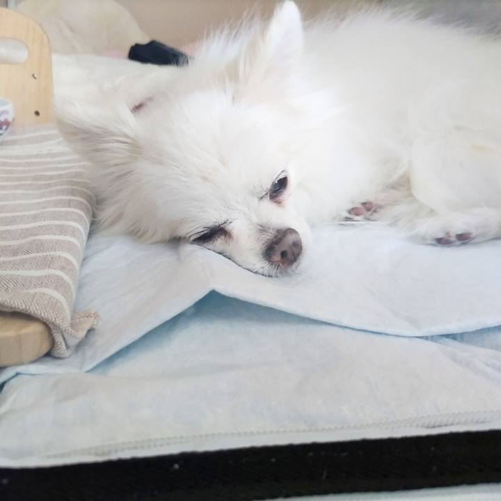 B062c073 d2e7 4459 bd5b 543331a779d9 1687048698950