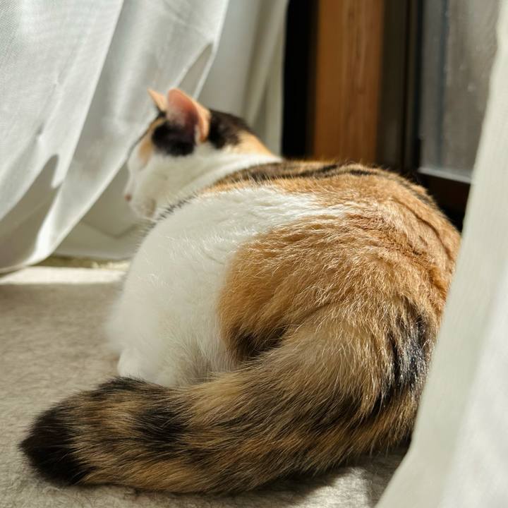 B062d3d1 63a5 4d89 aa02 9d8ac64b78c9 1668389926416