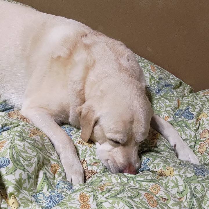 B062d644 1202 4263 827f 0bc5e38fd02b 1666582784537