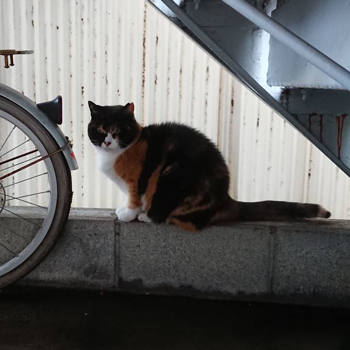 B062e263 4a29 4e21 92d1 8acb92b40e62 1589930967612