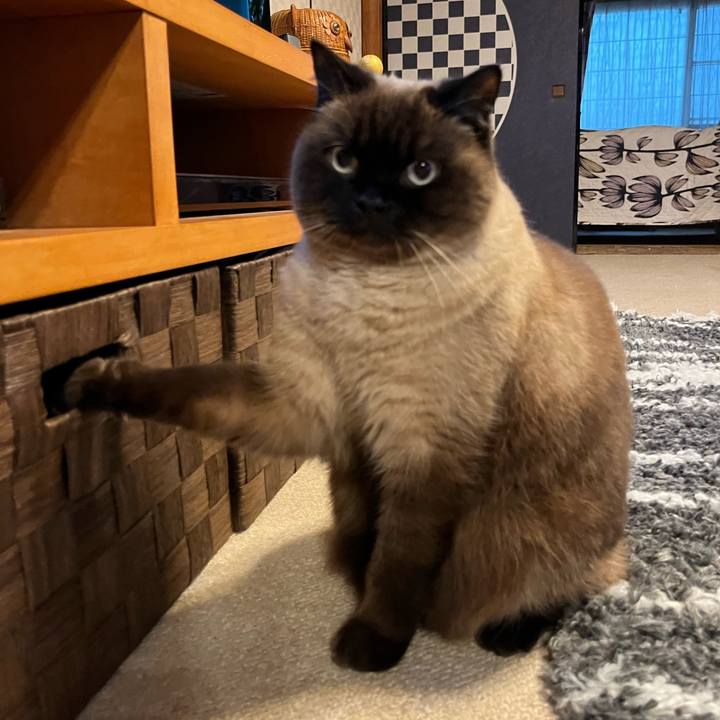 B062e2e1 ece5 424f bb06 22cafa7fc757 1673681295093