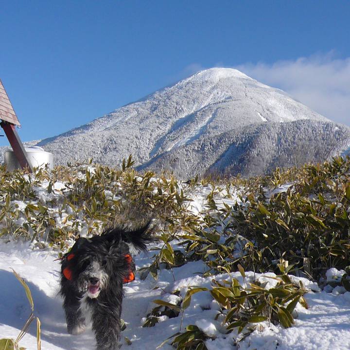 B062ec9b acb5 4980 9b0b 682d34f1063f 1547025978457