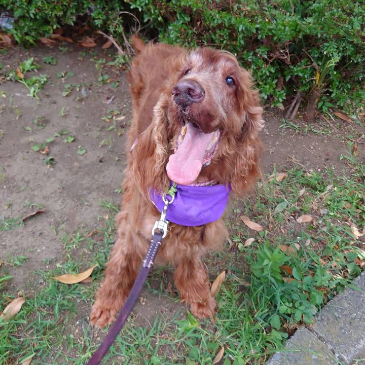 B063469b df2b 451c 9d95 42768c7905f5 1657030403083