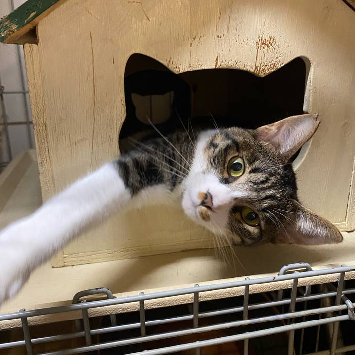 B0635323 1640 4538 95b2 ccc4178140c4 1600503882943