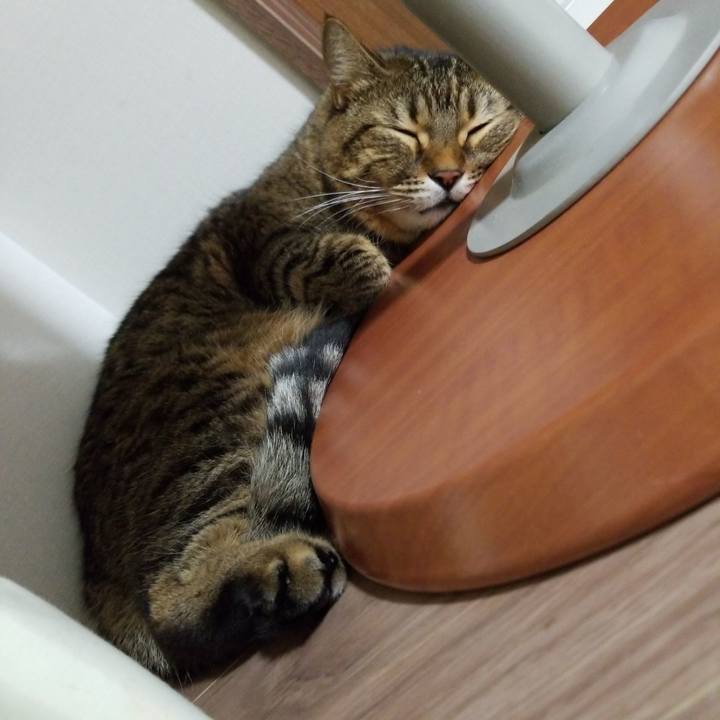 B0636864 39e4 433a 8fd2 c35f61f23f67 1573388604648