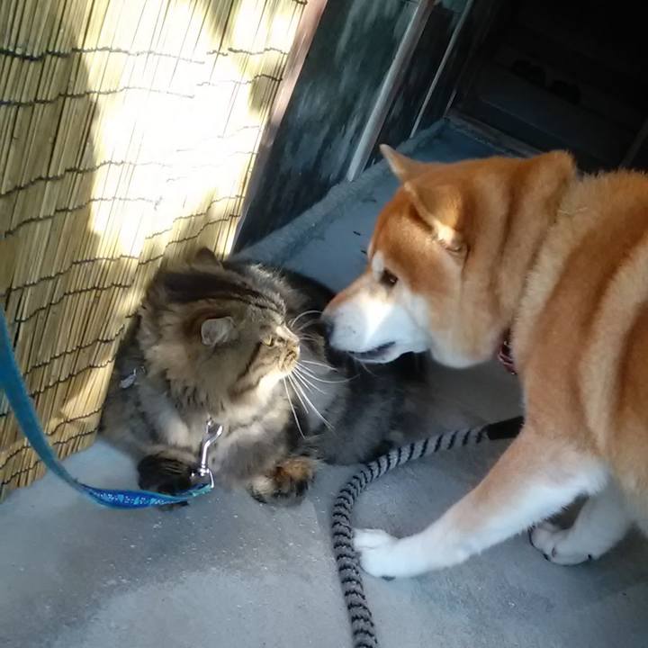 B06368c1 d0b1 4e5d 8836 201dedf5a238 1604633296729