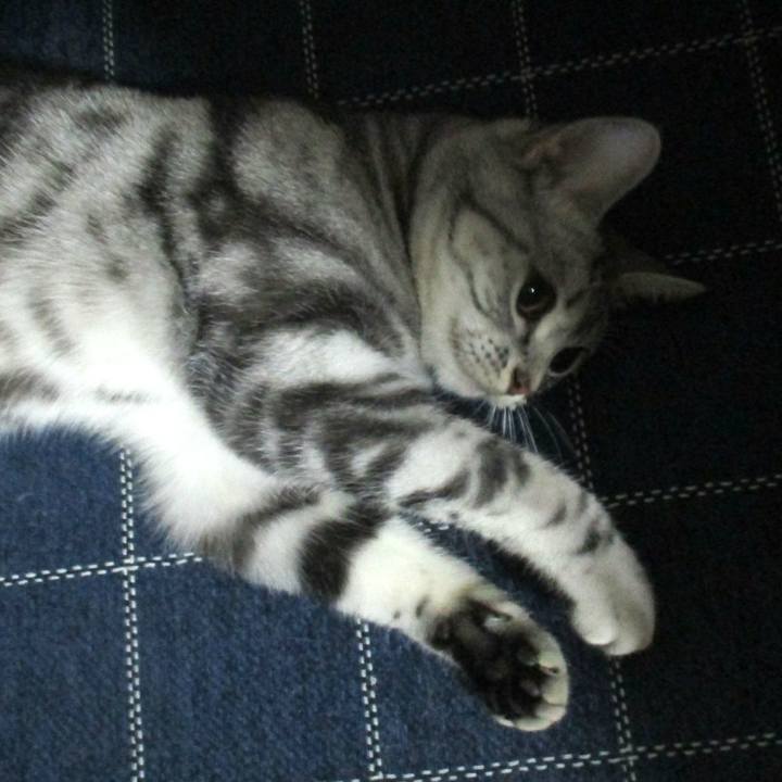 B0638c6c 1b0d 43d1 8d53 6a60895aeb0d 1561117346423