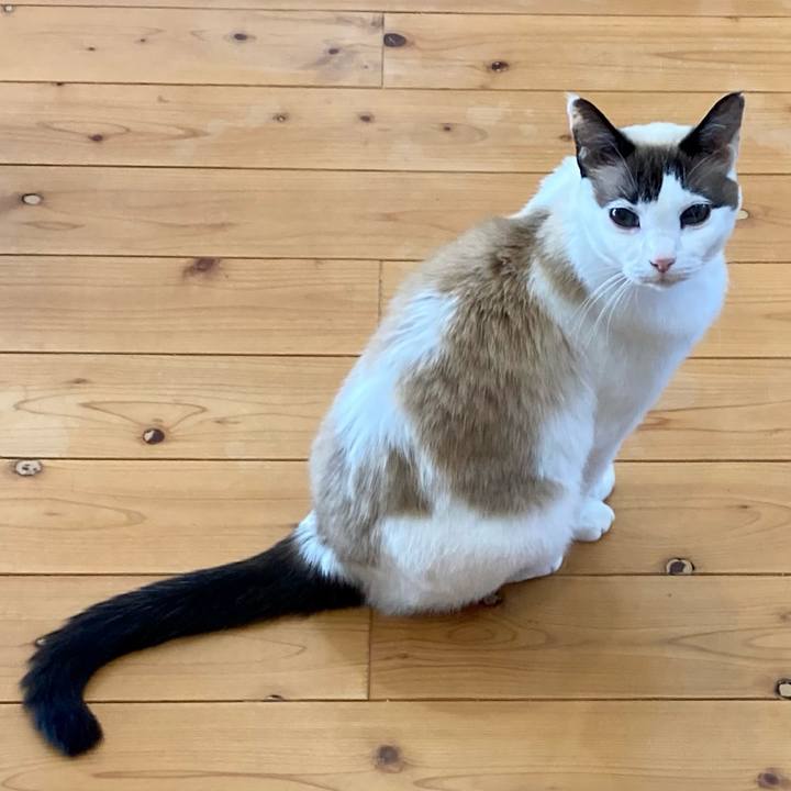 B0639bc9 a900 4a09 b921 f65cace0aba1 1674537334634