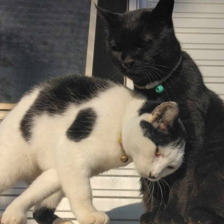 B063a4d6 31ea 4164 8db0 daf70023590e 1700703087730