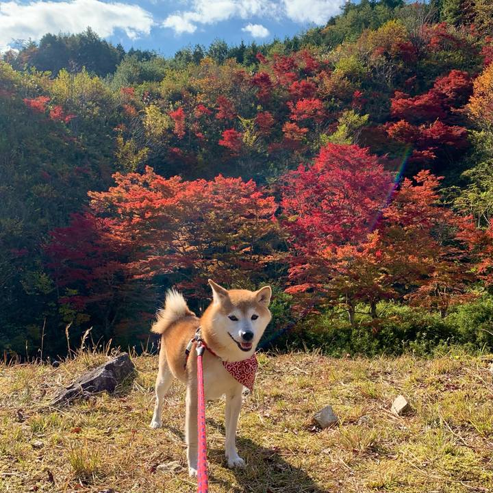 B063c8cf ef7d 450f 88fb 8176268f1f5e 1667903595170