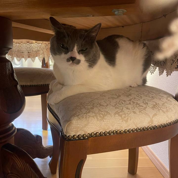 B06401df e75e 453d 9a89 a1379226a31b 1704265973556