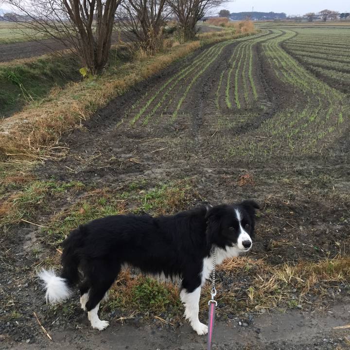 B0647848 7792 492c 8123 f4e5442f4d73 1576019093559