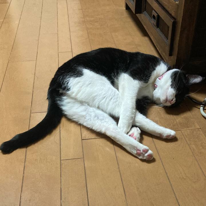 B0648a8b 5032 4479 9bf1 1576b8de90a2 1611759844426