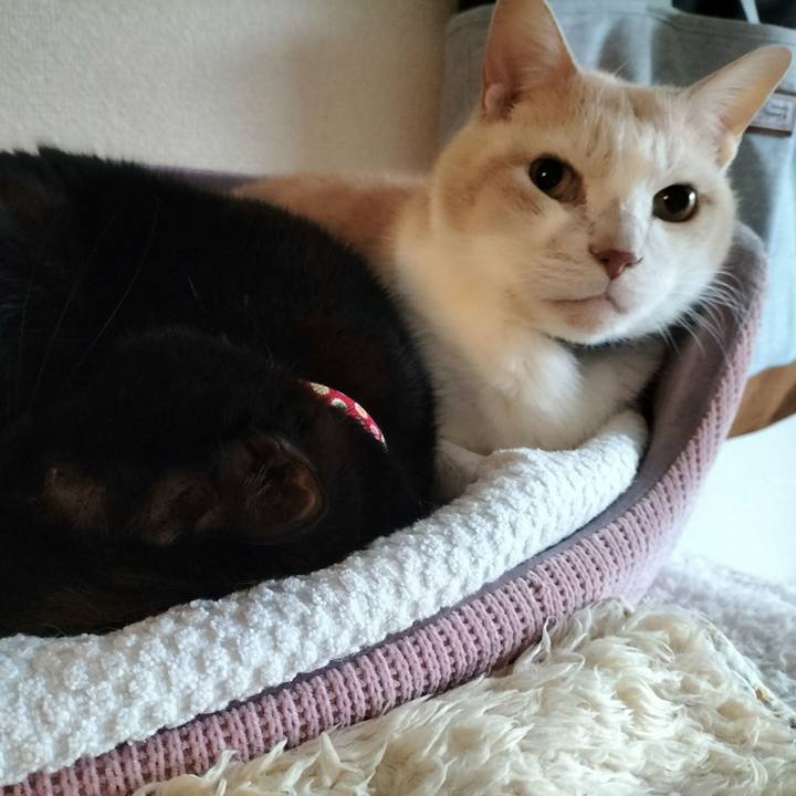 B064bc67 45dc 49ae b322 d25b64c717d6 1642458803210