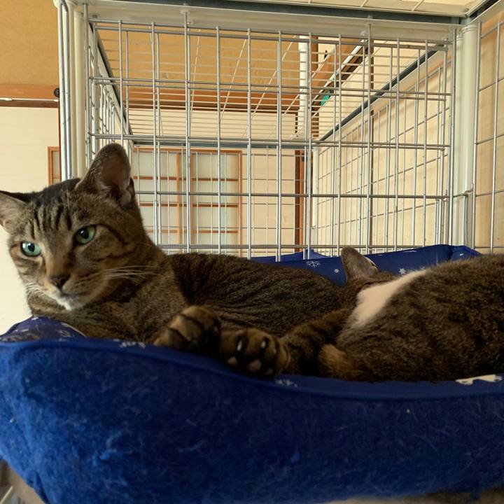 B064c664 3a80 4961 9596 41804a098556 1565656801617