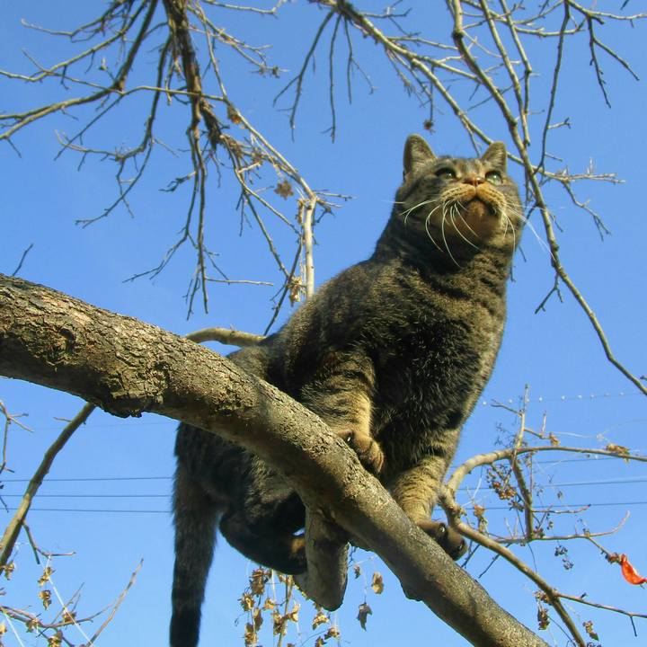 B064de0e 91f1 42cb b1bd 71998672c696 1512287628403