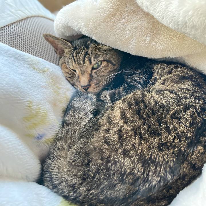 B064fb40 9a24 4ffe a0d3 d931812b49e6 1618452216746