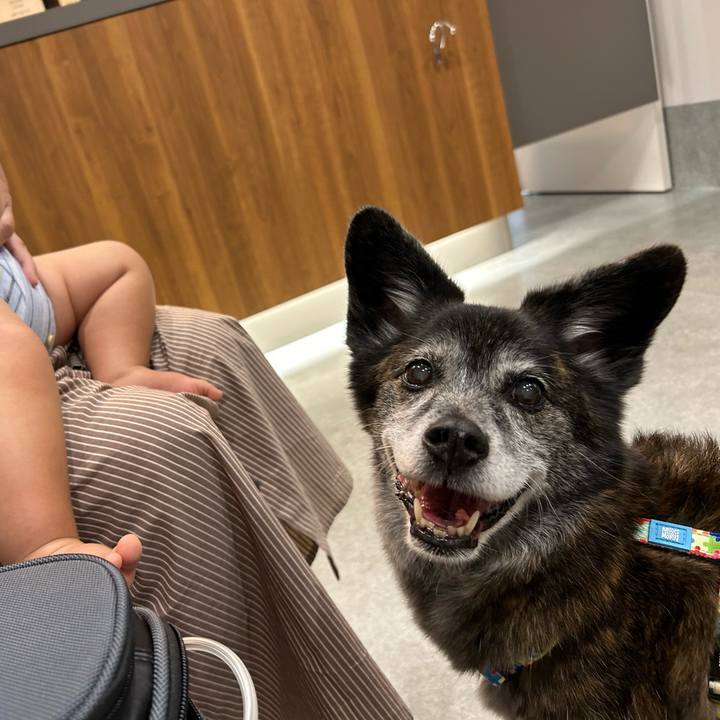 B065252f fcc4 4759 8749 0d04bd319b77 1724410389531