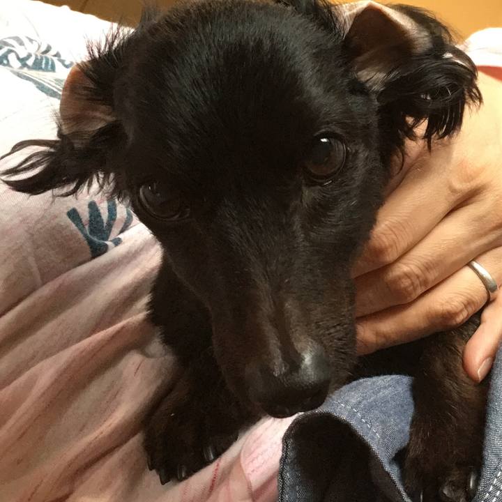 B065313b 7a27 4cda 804e 279994080633 1537575995753