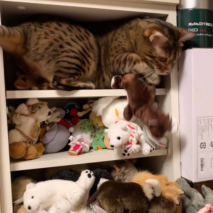 B0656ac0 f0ac 47c3 bde8 ad39a94f024a 1602982536290