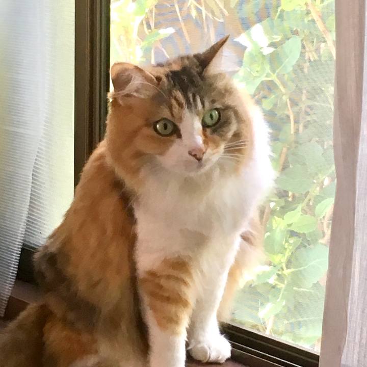 B0656da3 87f1 438c 852d 9d9d70010ce2 1557179127946