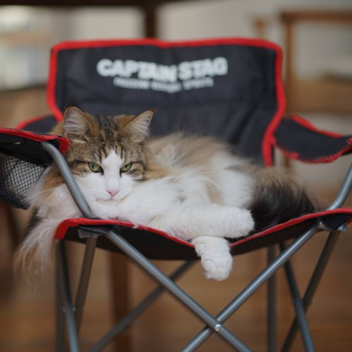 B0657e6c 8ecb 4f3d 9dd4 ccc61c9464d9 1690966444698