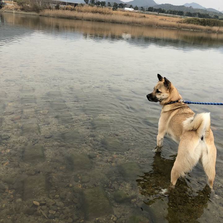 B0658d46 3a31 4779 b91b 009798439f83 1519554131379