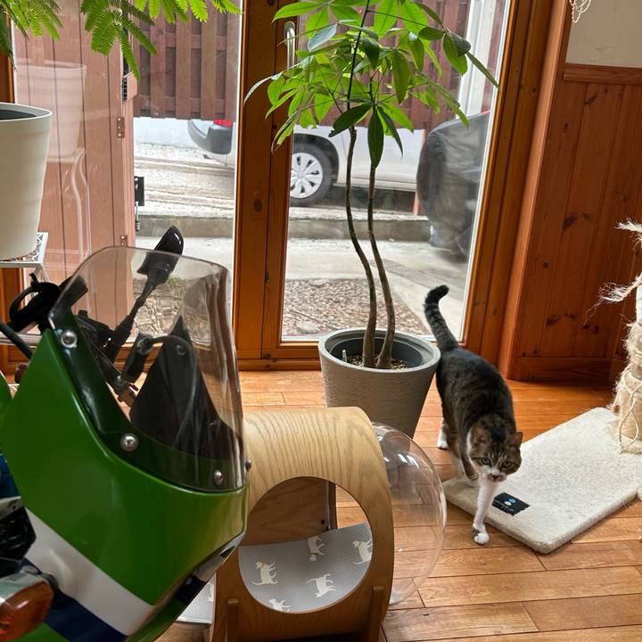 B065b7d6 2d27 41fc a3e2 adcb950f7821 1686443562796