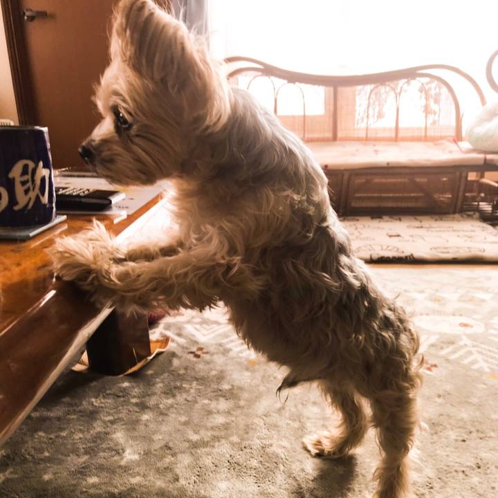 B065d795 d920 404d b0c0 03c0074da9be 1551258996464