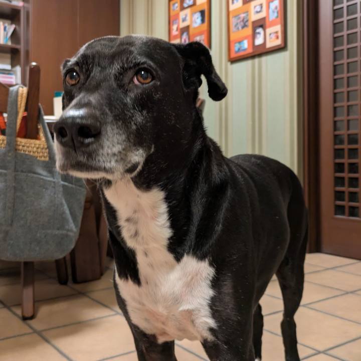 B065dad9 f5af 4bc5 b4be 36f302884efa 1733655961840