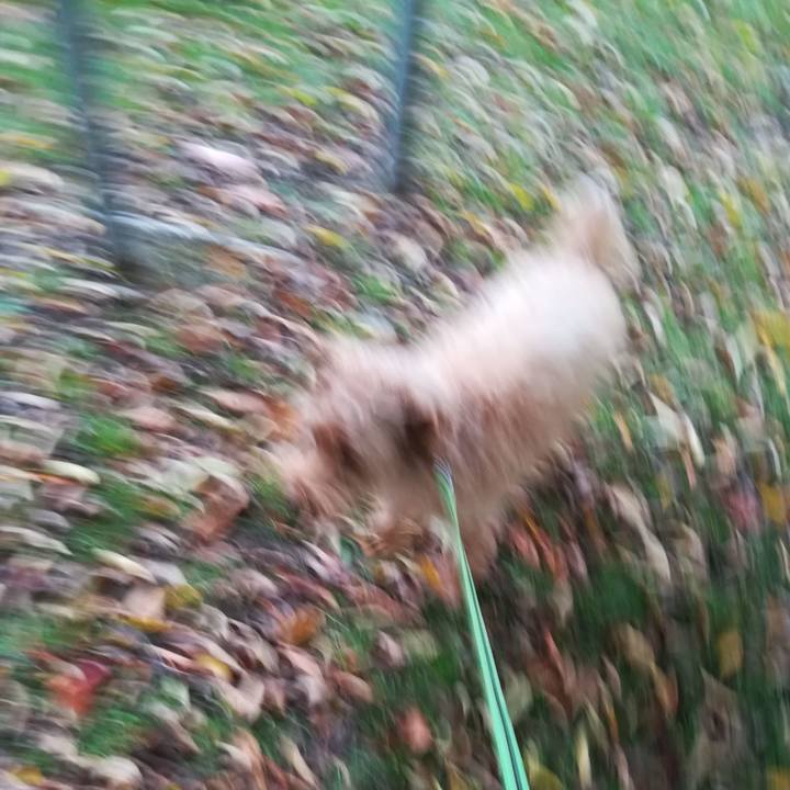 B065e344 09cc 42e0 b19d 2a8d3d8e45ce 1571265078355