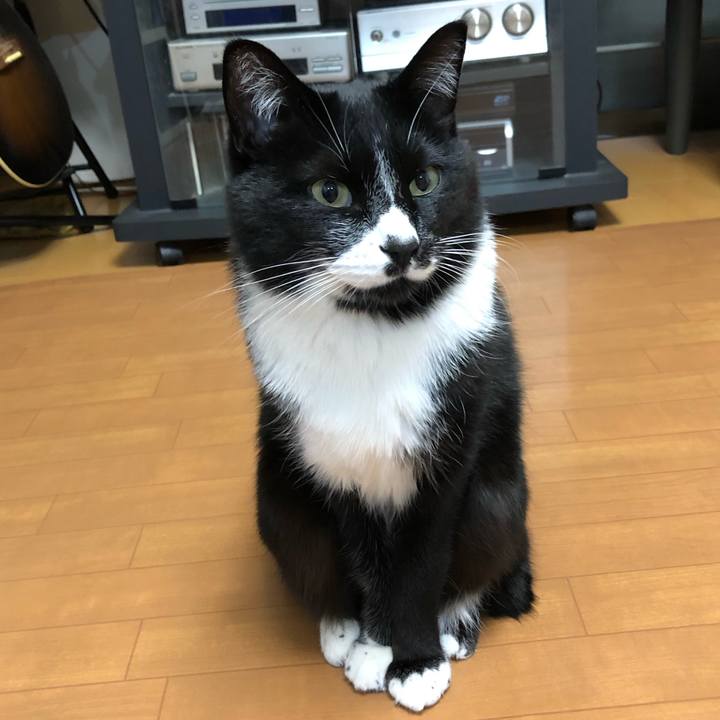 B06615b5 4071 4626 ad10 231a358f8452 1610941690232