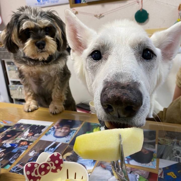 B06626a2 af9d 445d a905 224efa367a0e 1611029002908