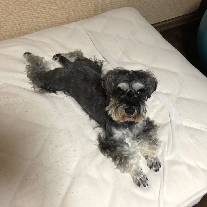 B0663b30 1c38 49f1 9ec1 1313b3df2542 1590331293936