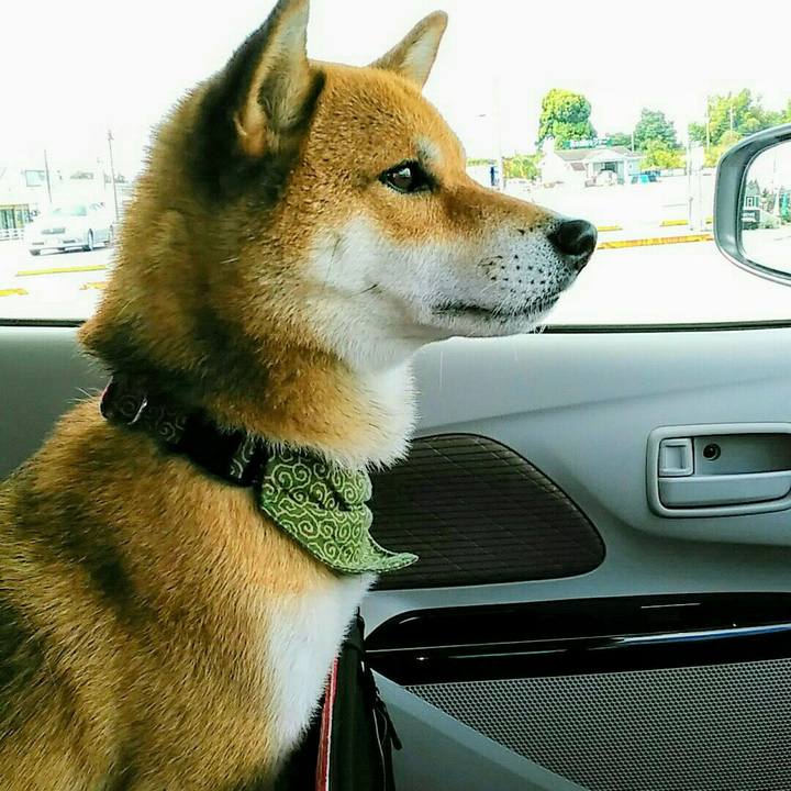 B066555d eed1 407e 961c 594fe1a641c0 1532995204721